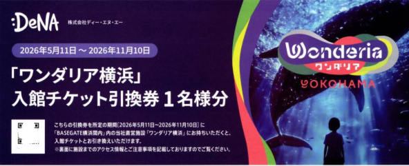 ディー・エヌ・エー(DeNA) 株主優待券 ワンダリア横浜 入館チケット引換券